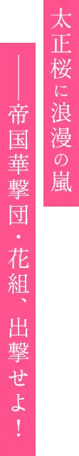 太正桜に浪漫の嵐―帝国華撃団・花組、出撃せよ!